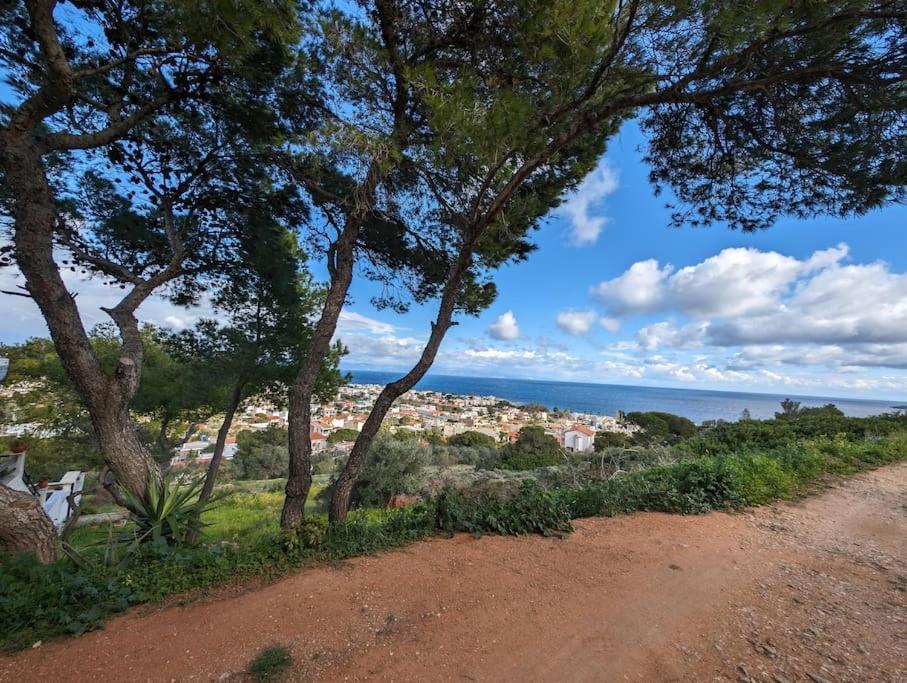 Vasiliki Studio, Beautiful New Built Appartement 10 Km To Airport Artemi Extérieur photo